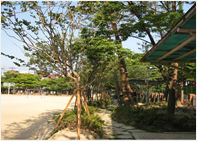 매원중학교(2010)의 학교 숲 사진