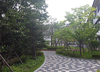 연무초등학교(2015)의 학교 숲 사진