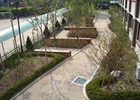 효정초등학교(2014)의 학교 숲 사진