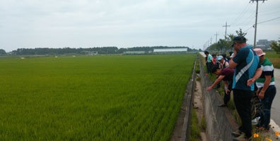 쌀 연구회 사진